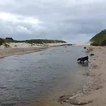 4 Star Holiday Home In Henne * Henne Strand