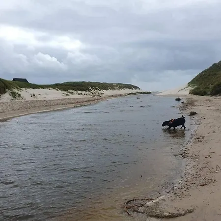 8 Person In Henne * Henne Strand